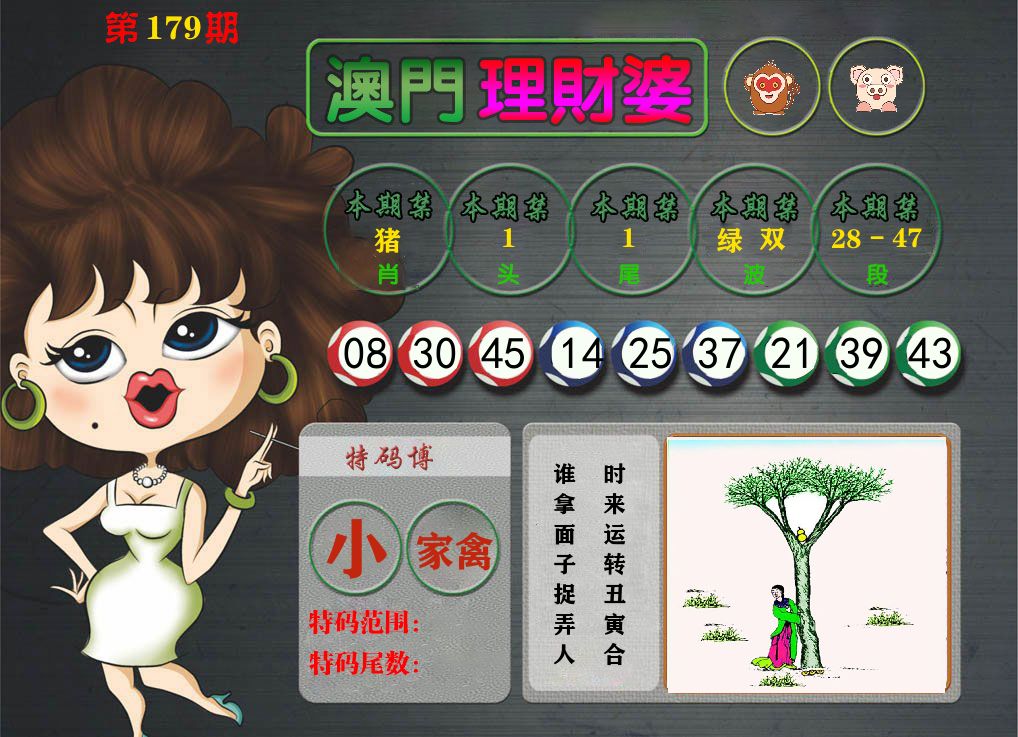 理财婆 第179期