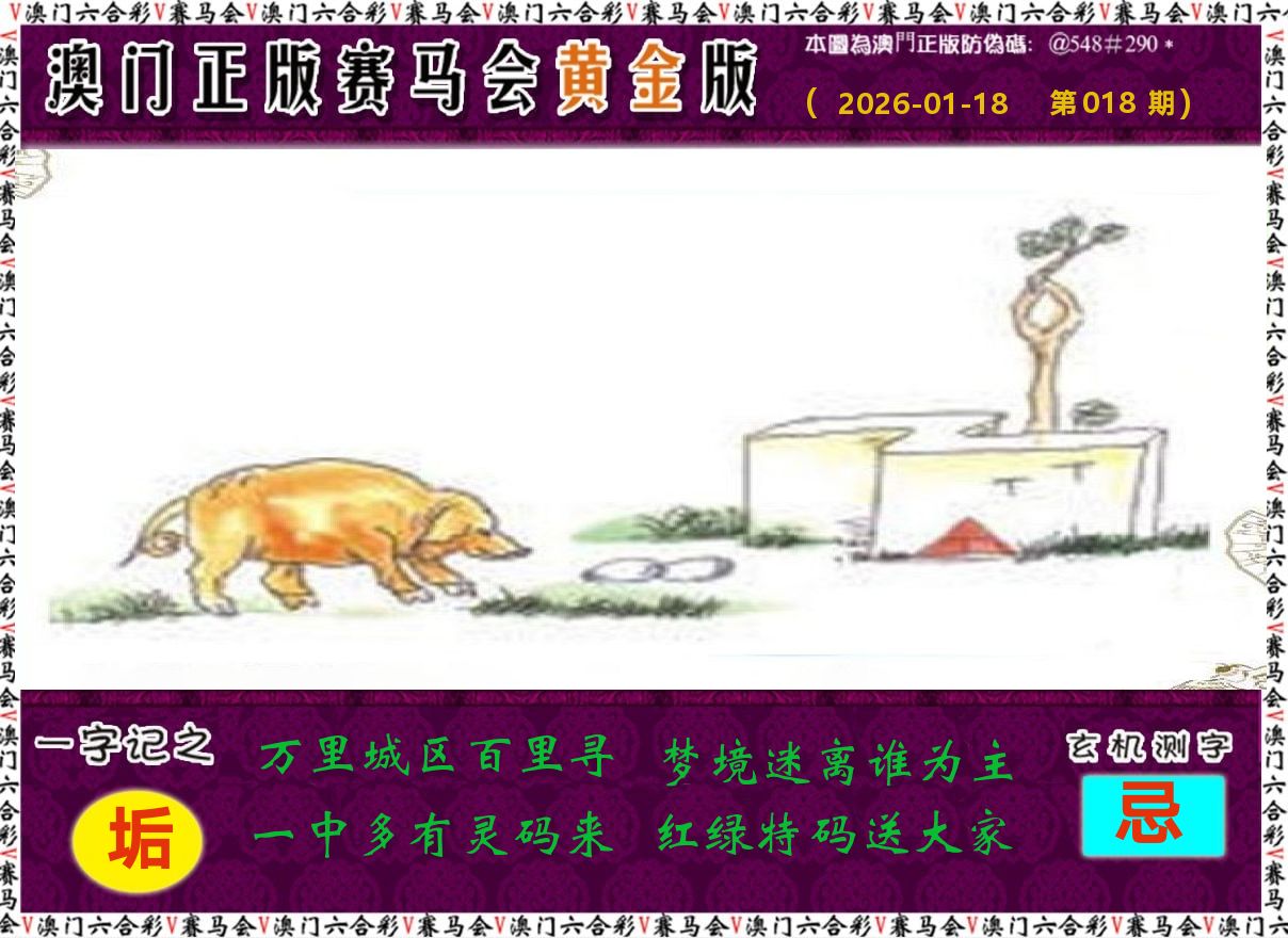 赛马会黄金版 第18期