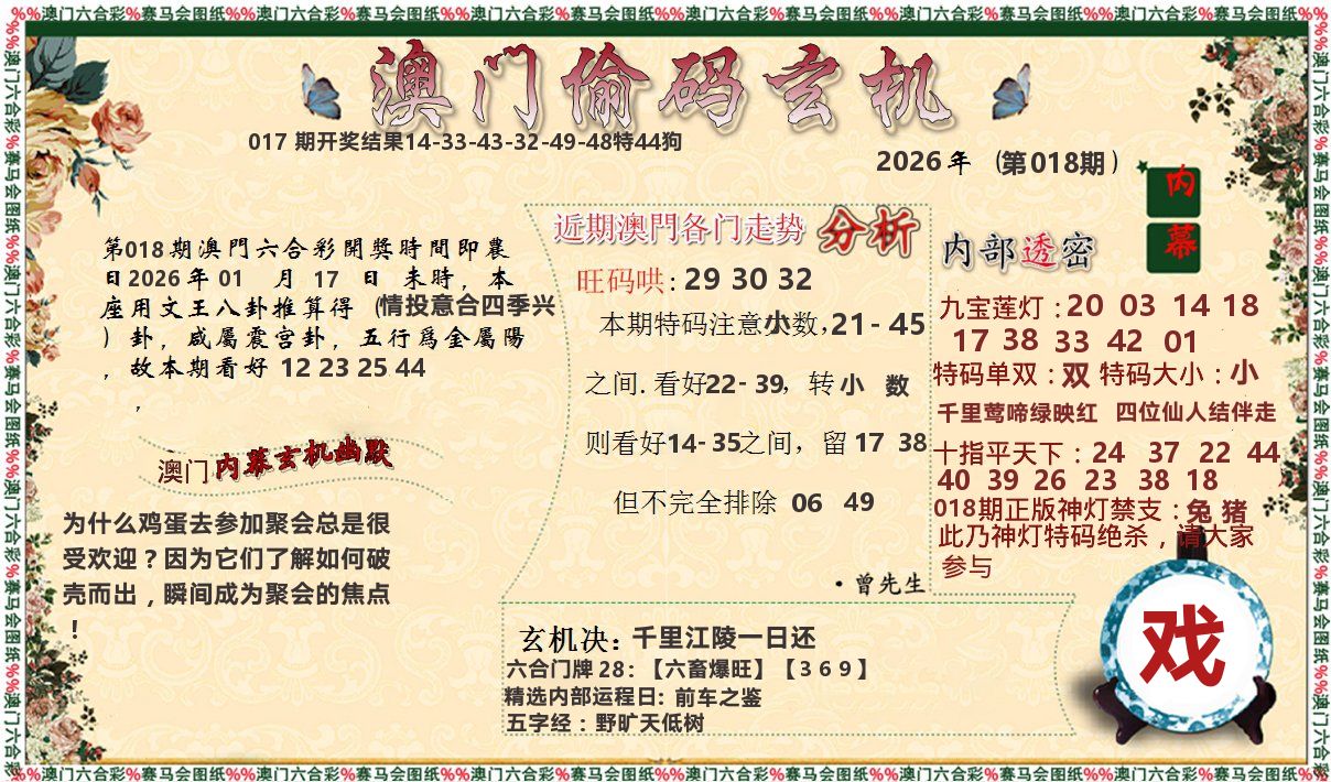 偷码玄机 第18期