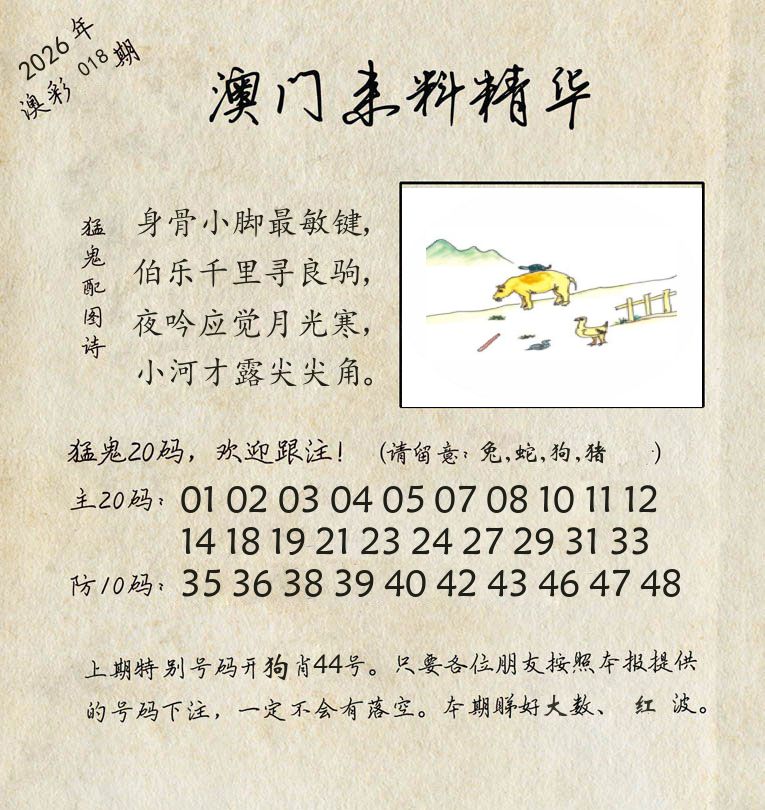精华来料 第18期