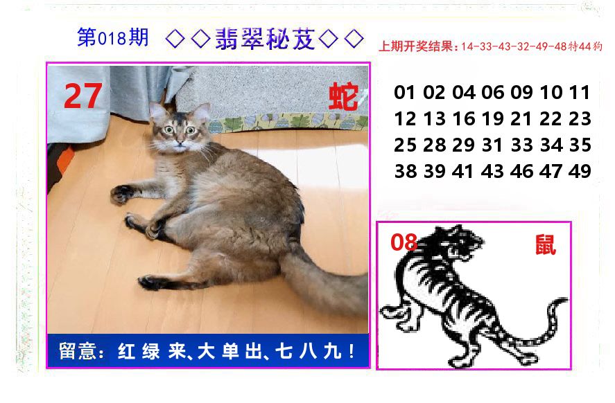 翡翠秘芨 第18期