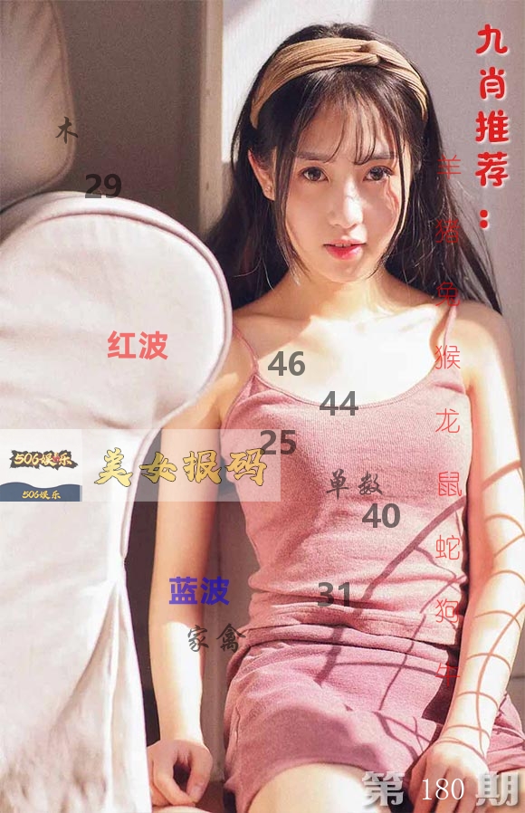 美女报码 第180期