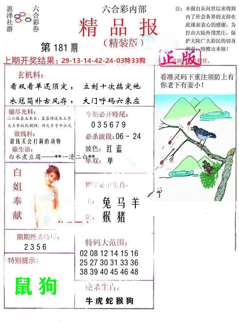 精品报 第181期