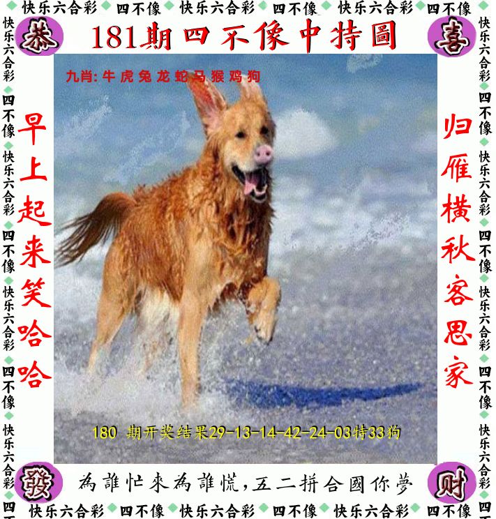 四不像 第181期