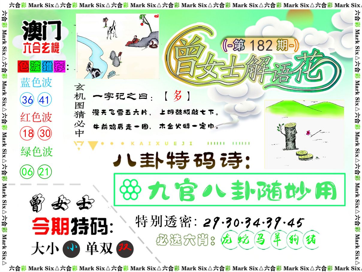 曾女士解语花 第182期