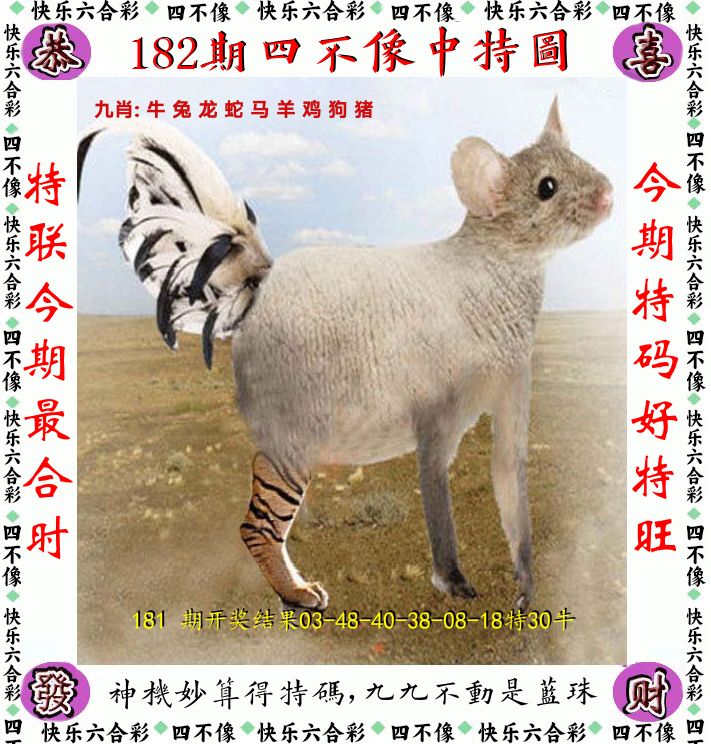 四不像 第182期