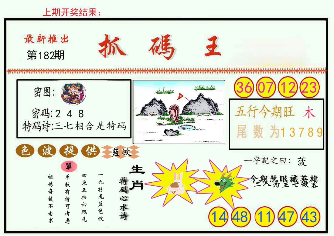 最新抓码王 第182期