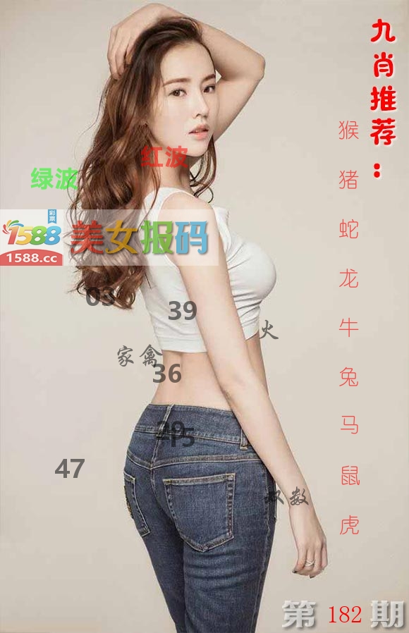 美女报码 第182期
