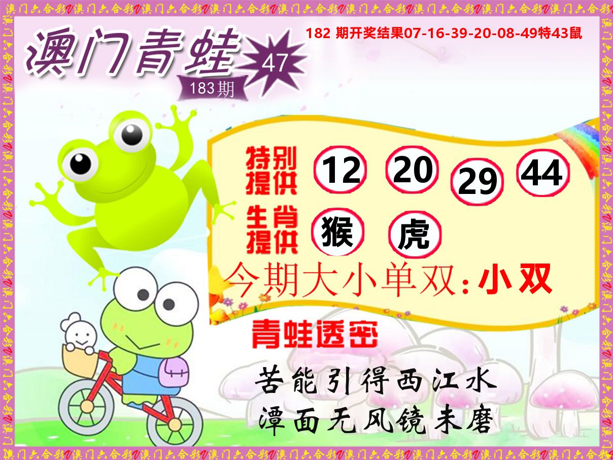 青蛙系列47 第183期