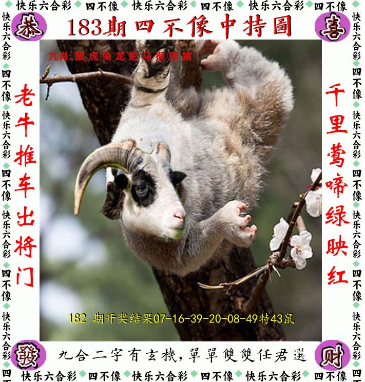 四不像 第183期