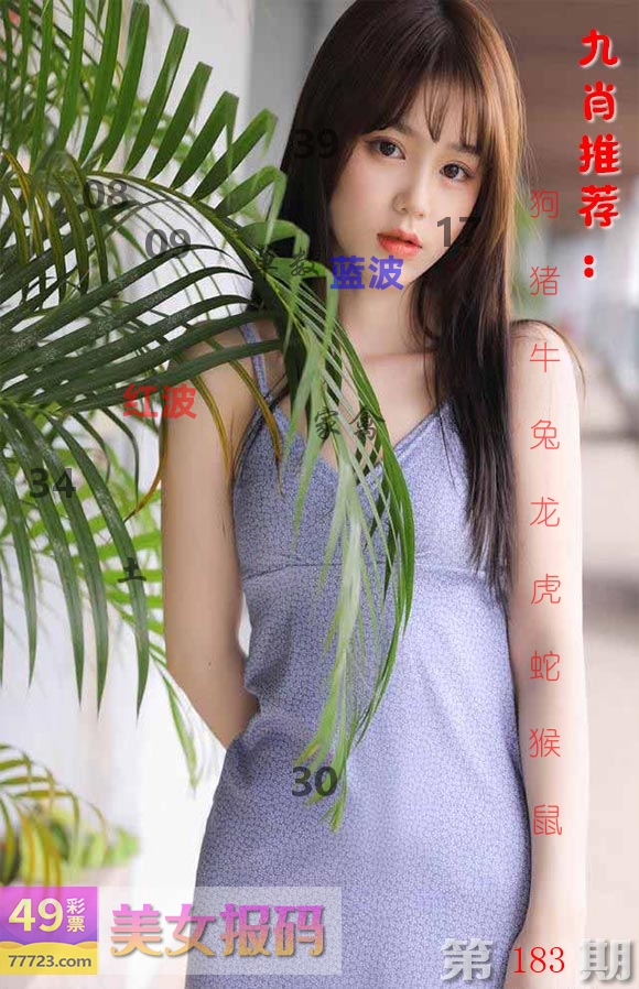 美女报码 第183期