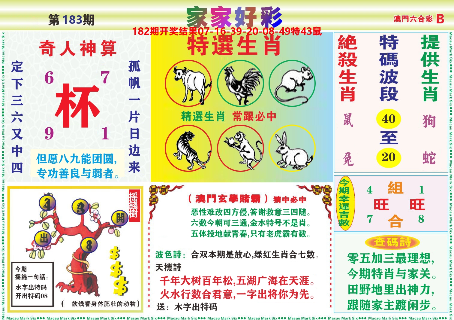 家家好彩B 第183期