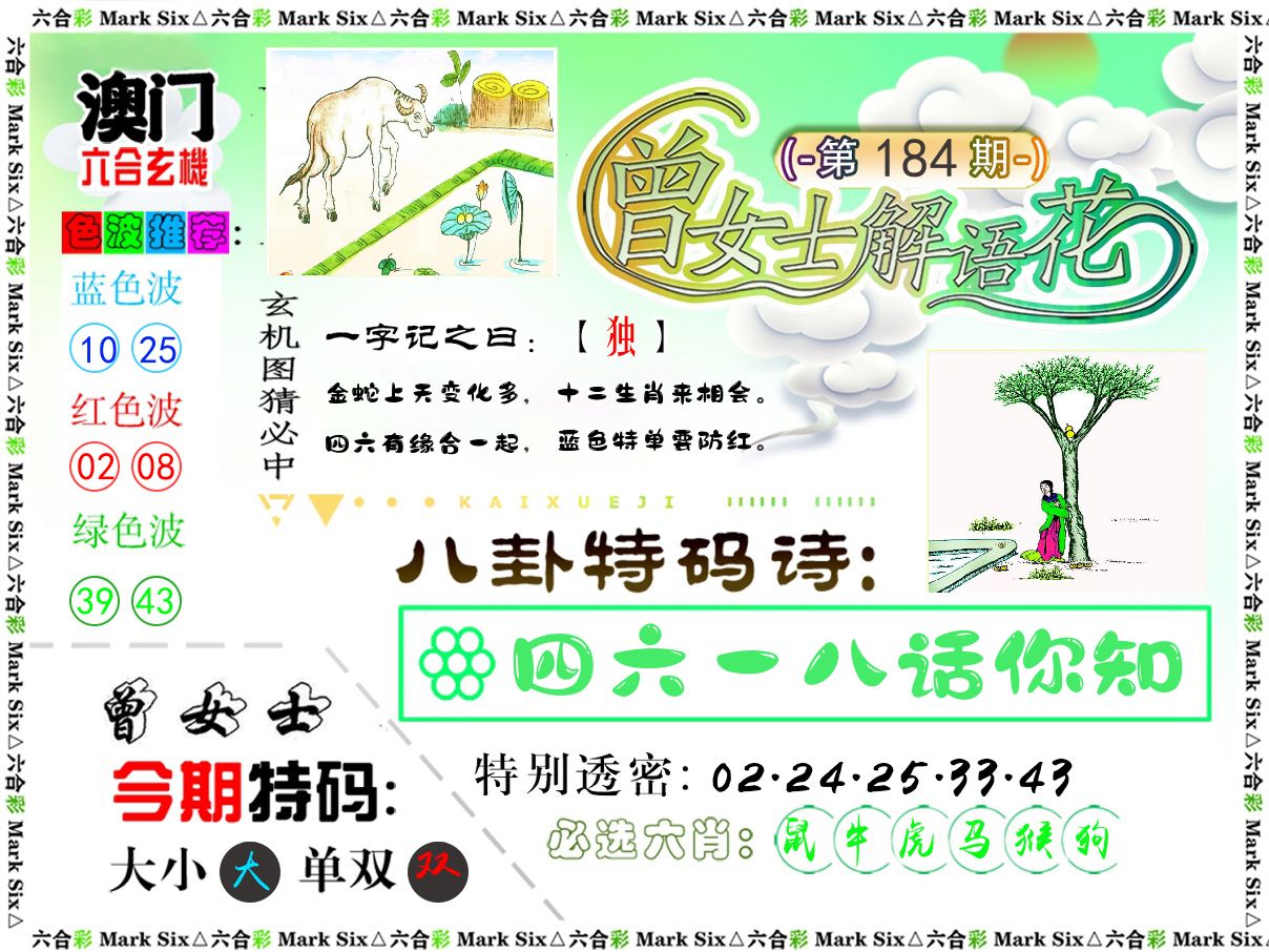 曾女士解语花 第184期