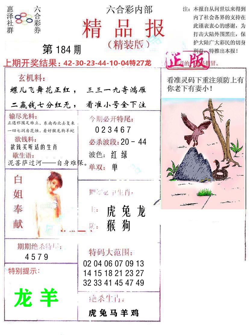 精品报 第184期
