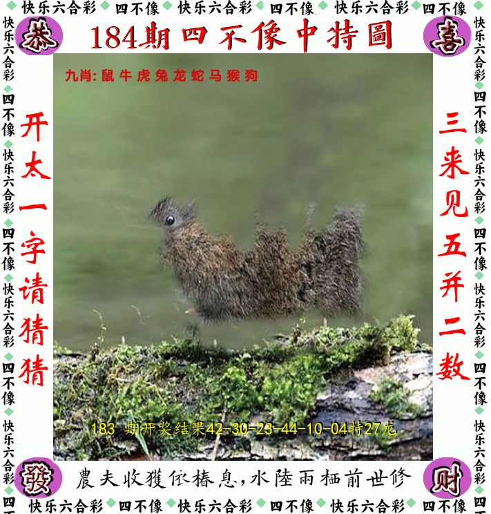 四不像 第184期