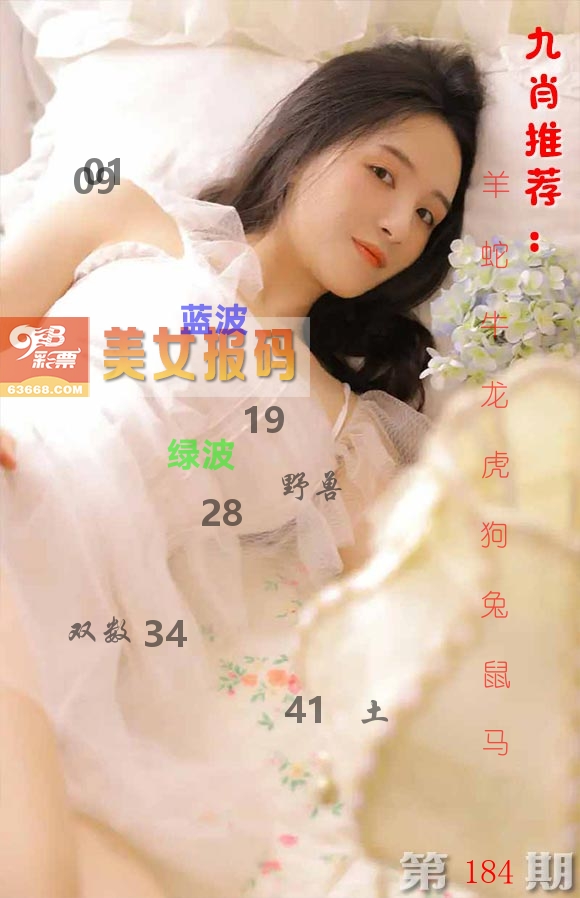 美女报码 第184期