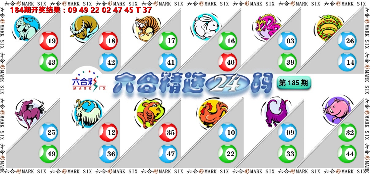 六合精选24码 第185期