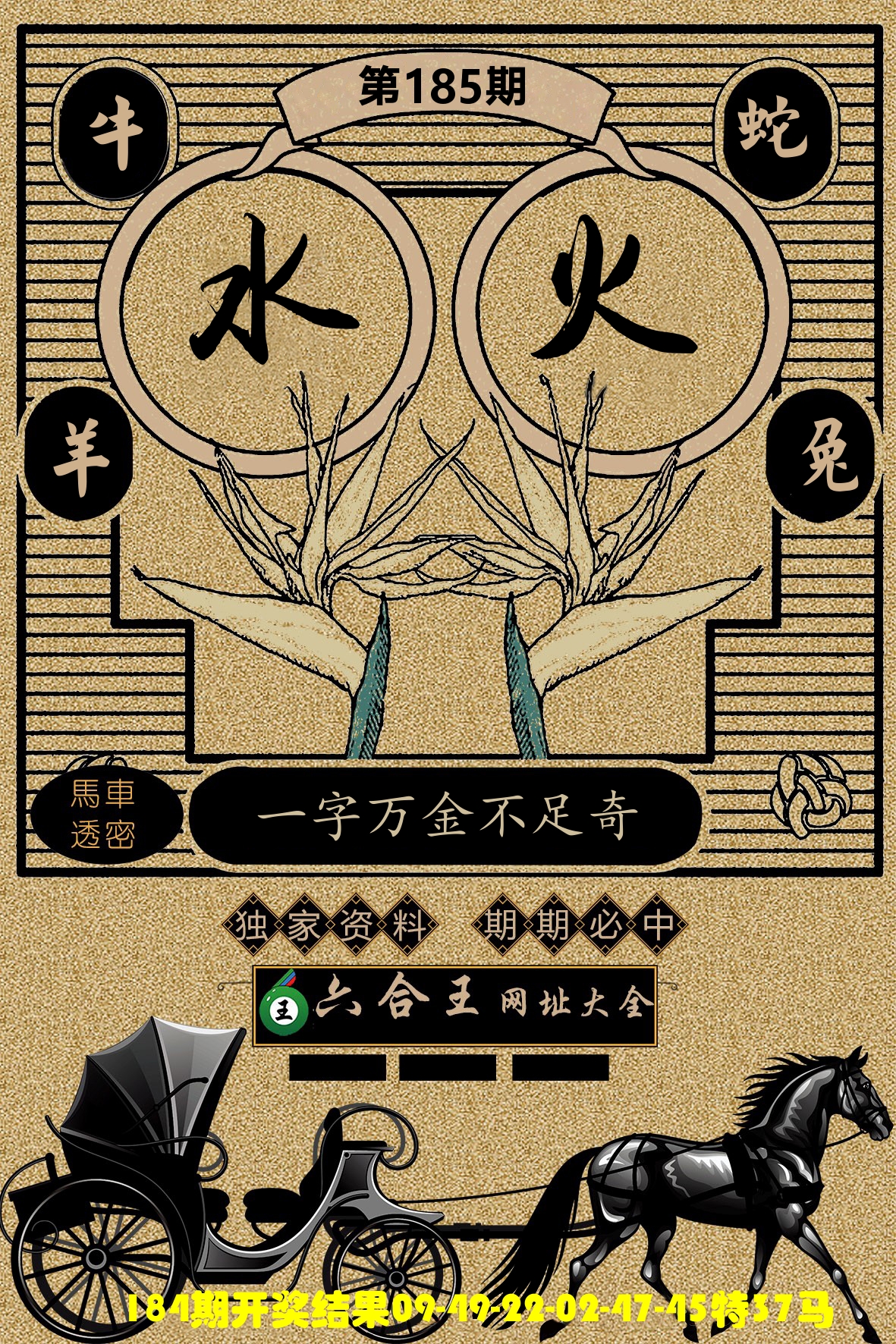 六合王马车透密 第185期