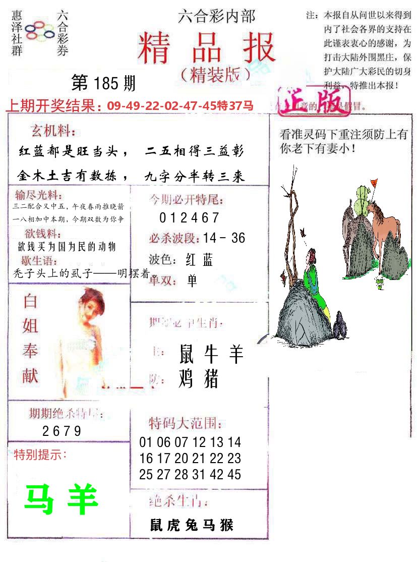 精品报 第185期