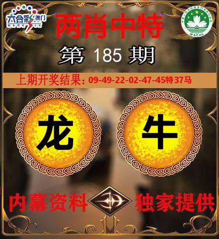 两肖中特 第185期