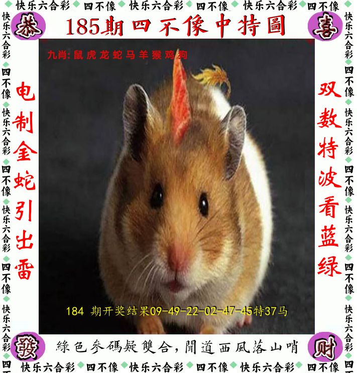 四不像 第185期