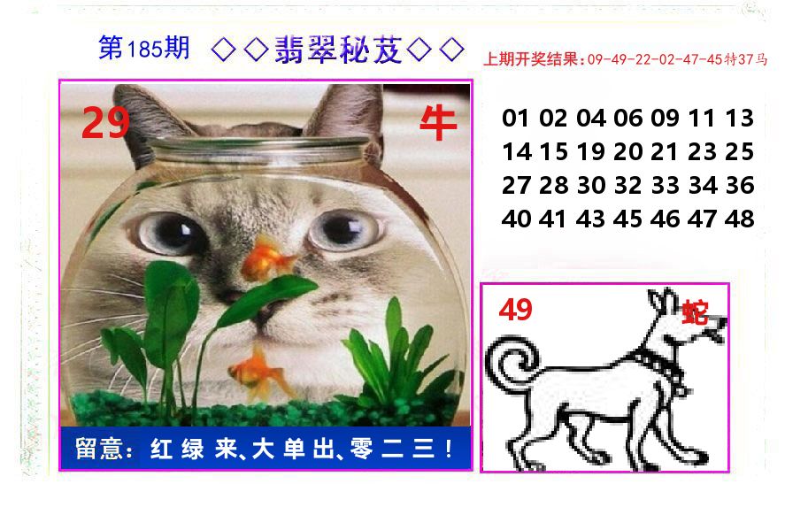 翡翠秘芨 第185期
