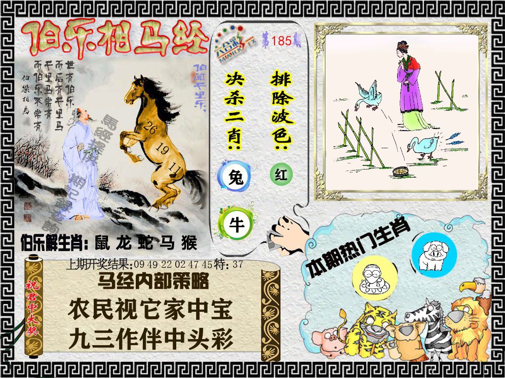 伯乐相马经 第185期