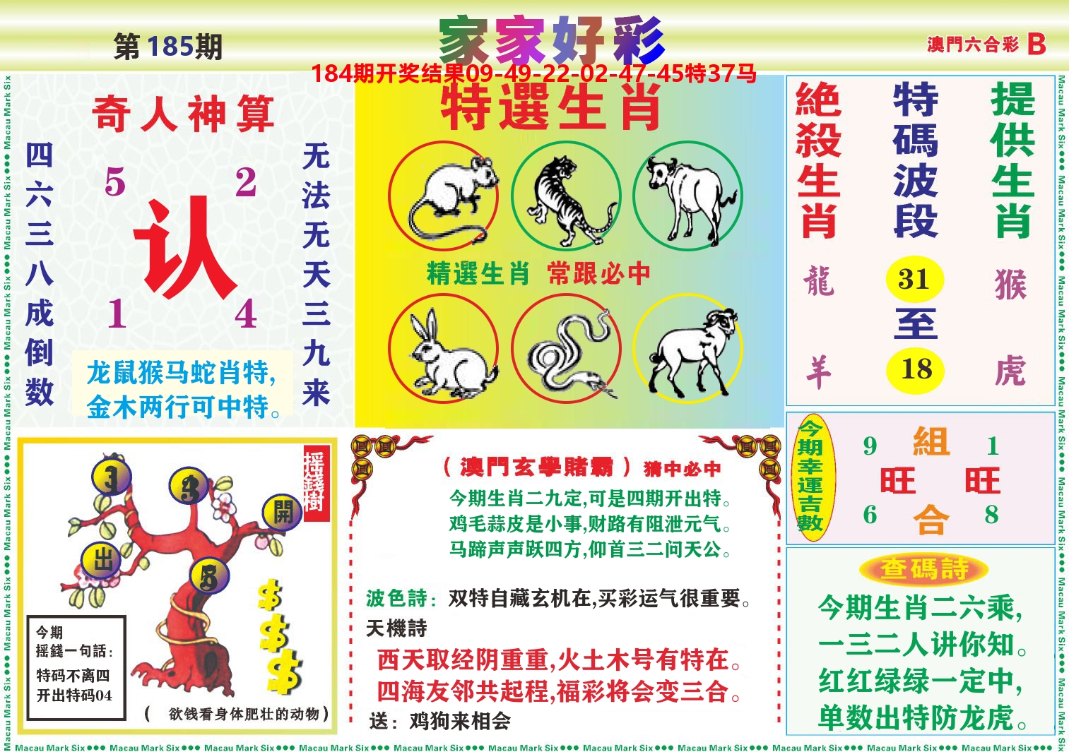 家家好彩B 第185期