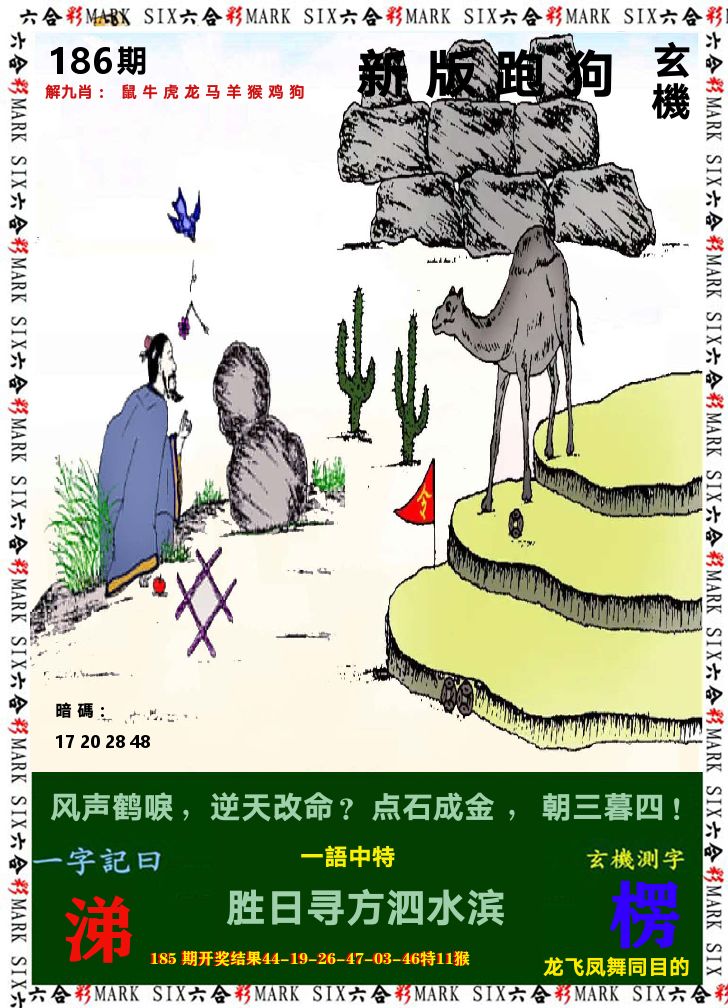 悟入其图 第186期
