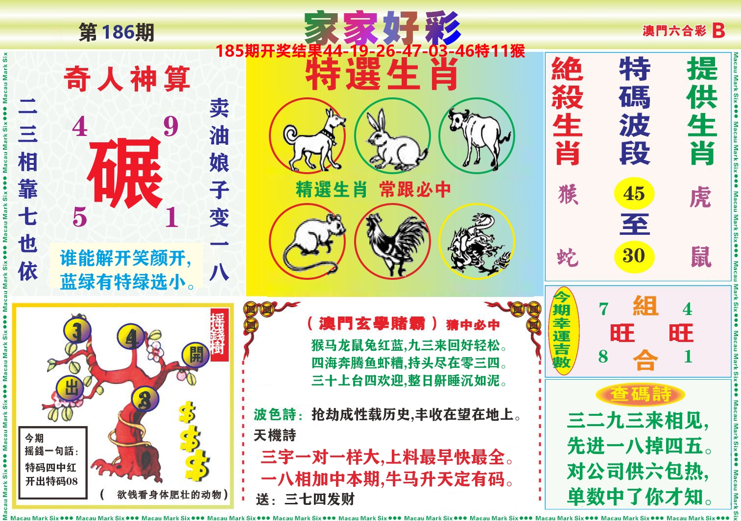 家家好彩B 第186期