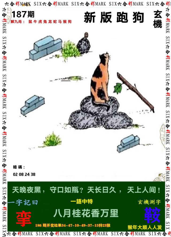 悟入其图 第187期
