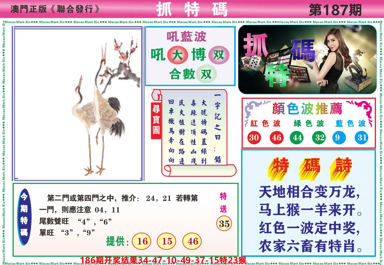 澳门抓特码A 第187期
