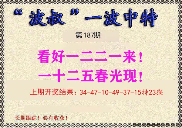 波叔中特 第187期