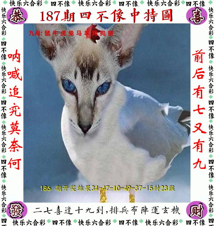 四不像 第187期