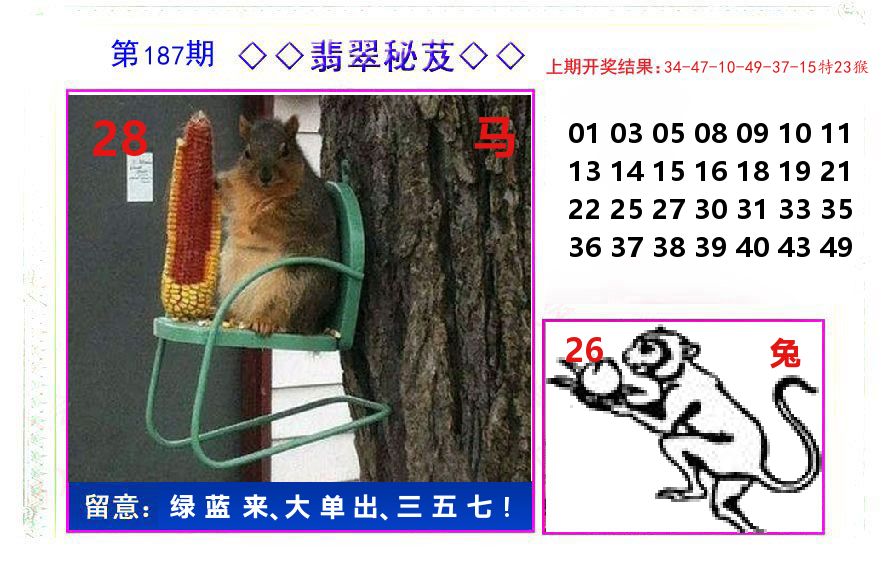 翡翠秘芨 第187期
