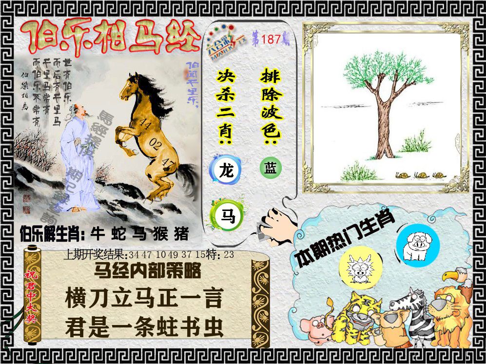 伯乐相马经 第187期