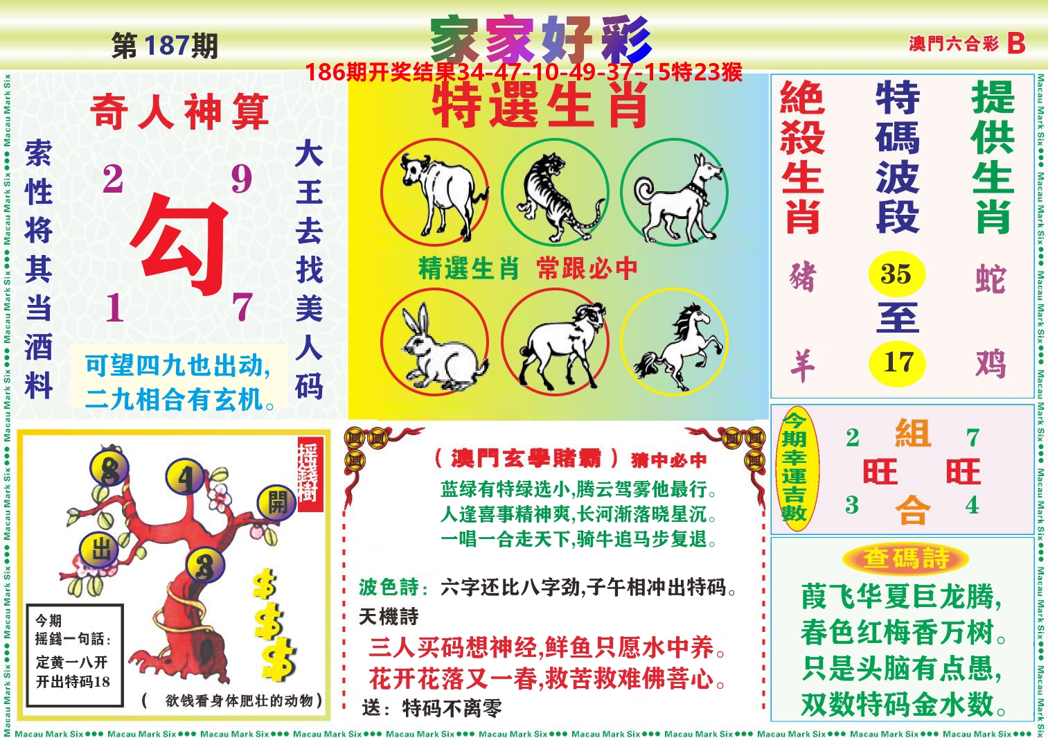 家家好彩B 第187期
