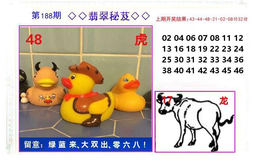翡翠秘芨 第188期