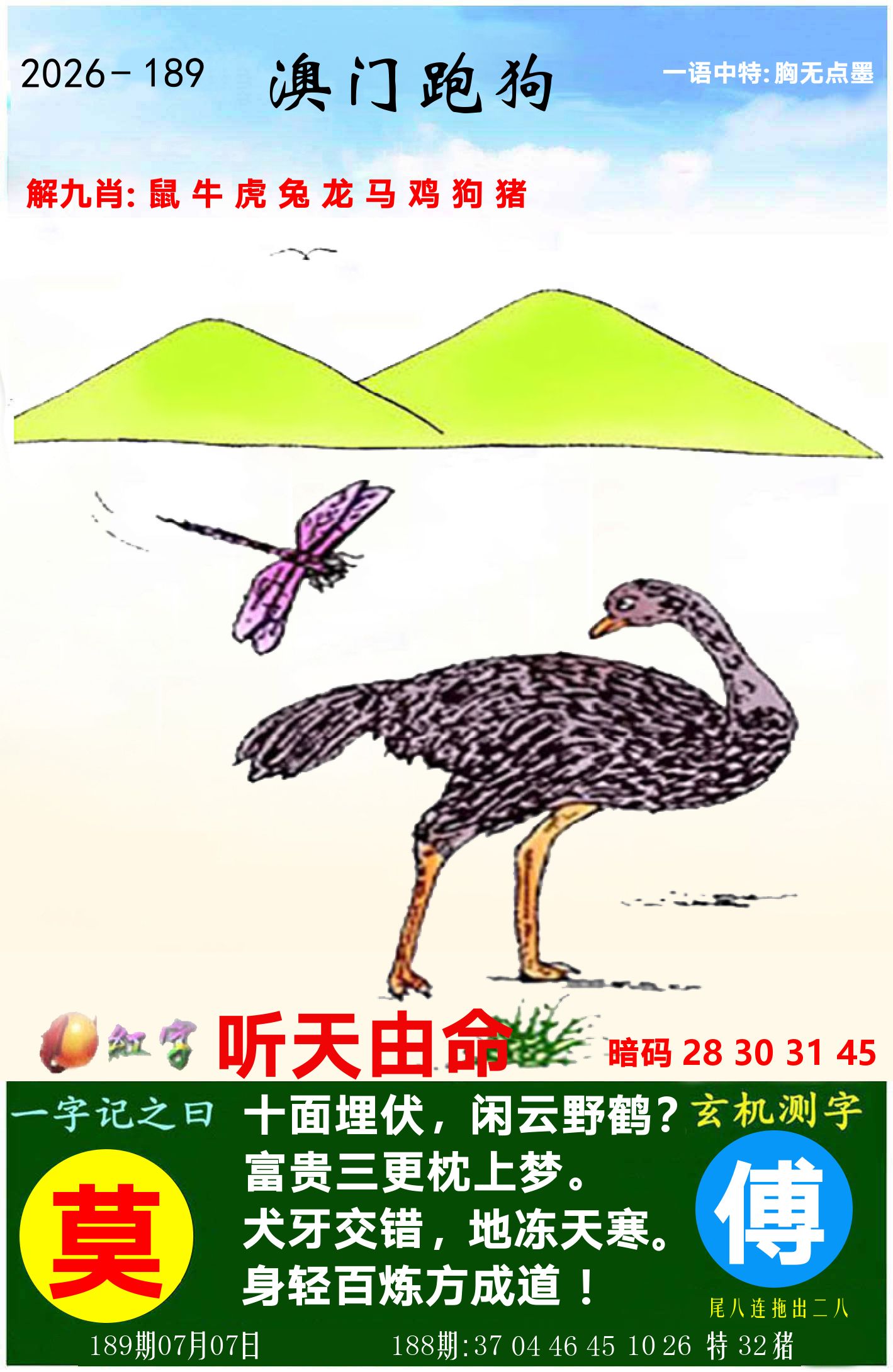 澳门跑狗图 第189期