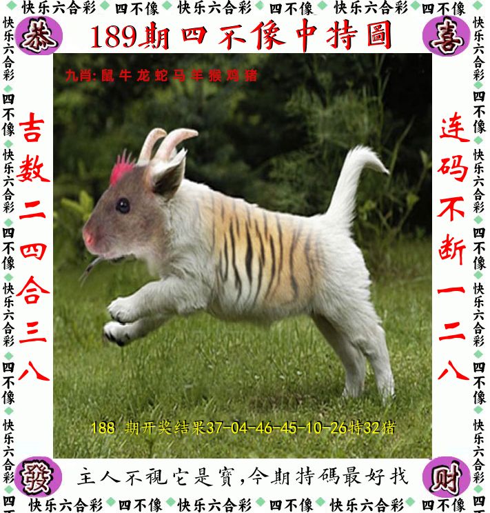 四不像 第189期
