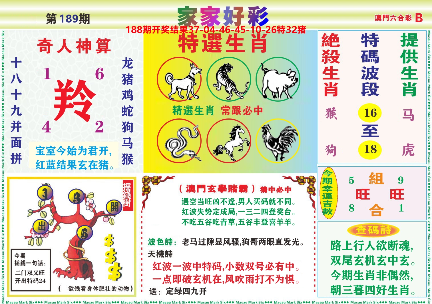 家家好彩B 第189期