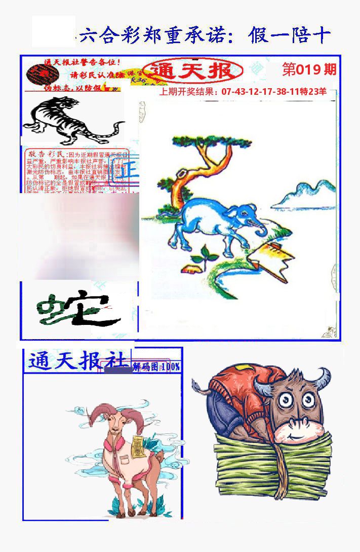 通天报 第19期