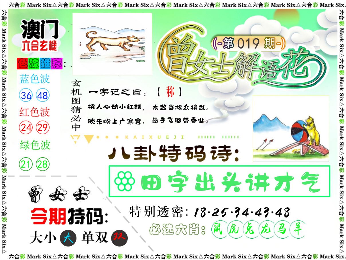 曾女士解语花 第19期