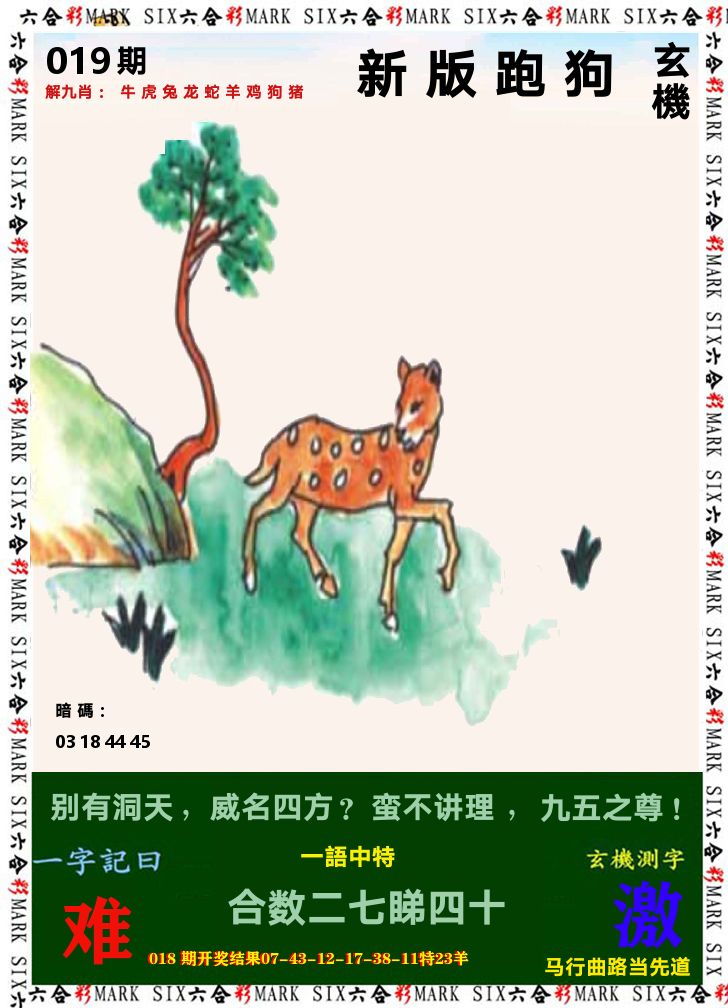 悟入其图 第19期