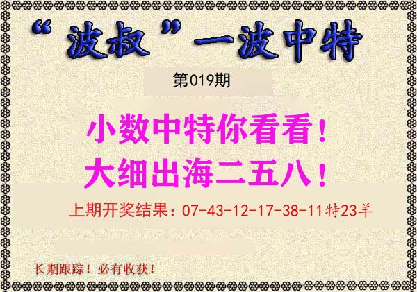 波叔中特 第19期