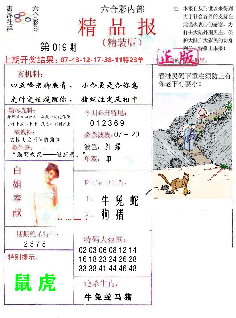 精品报 第19期