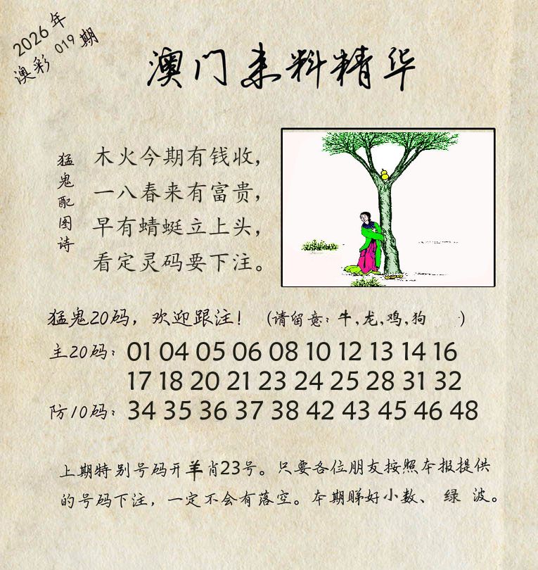 精华来料 第19期