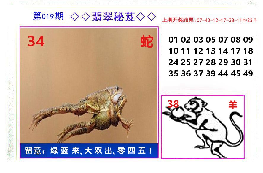 翡翠秘芨 第19期