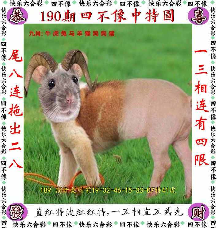 四不像 第190期