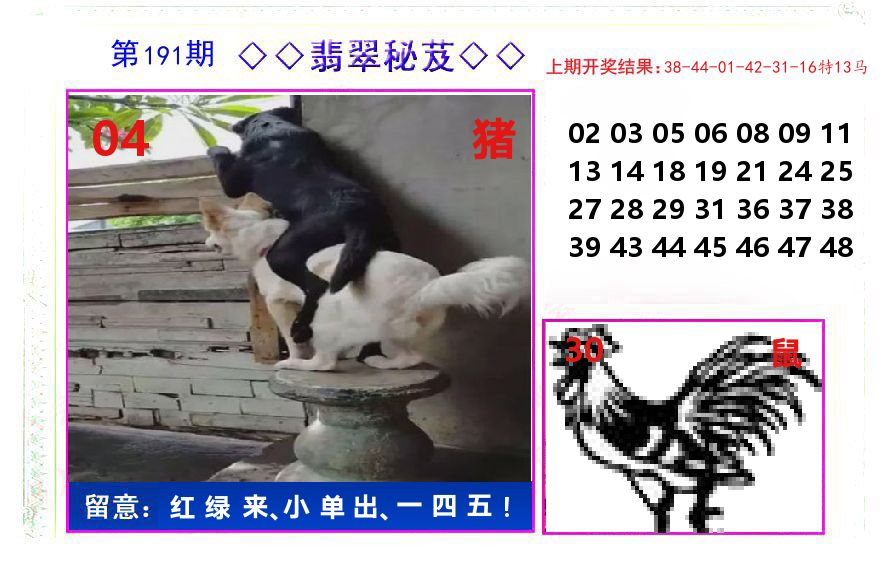 翡翠秘芨 第191期